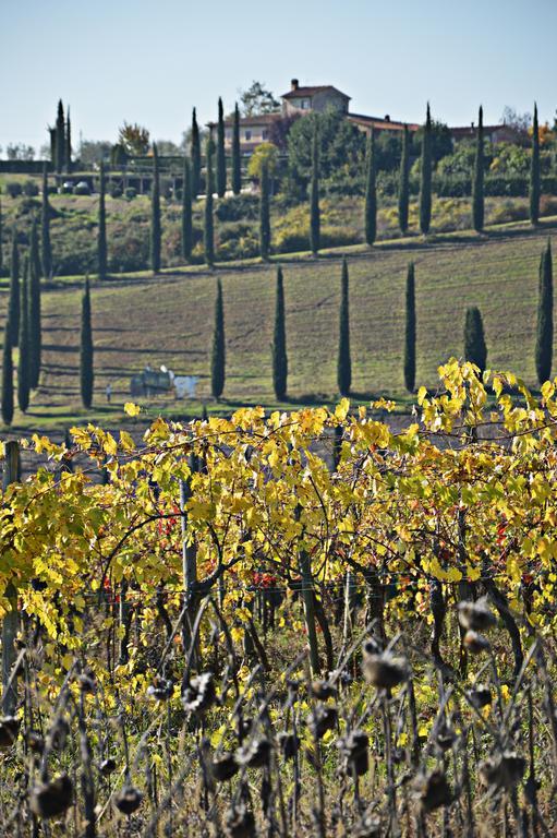 Adalberto - nella dimora di Fulignano San Gimignano Esterno foto