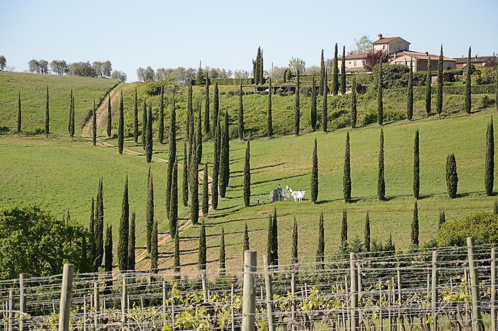 Adalberto - nella dimora di Fulignano San Gimignano Esterno foto