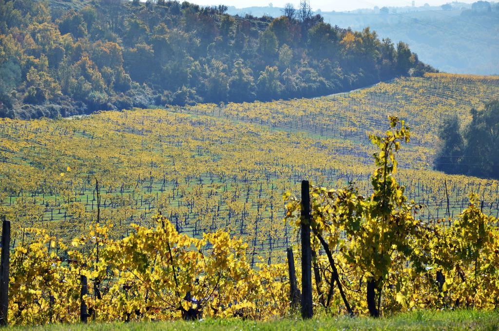 Adalberto - nella dimora di Fulignano San Gimignano Esterno foto